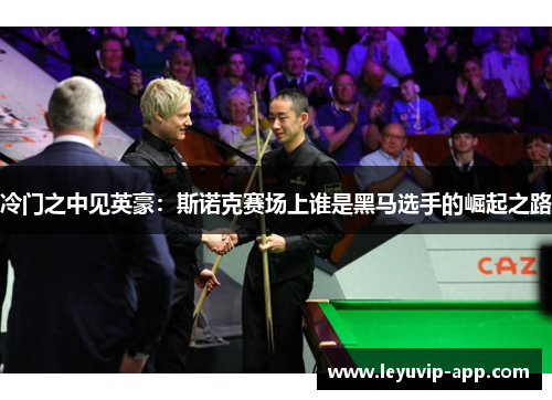 冷门之中见英豪：斯诺克赛场上谁是黑马选手的崛起之路