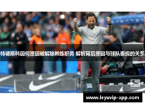 特德斯科因何原因被解除教练职务 解析背后原因与球队表现的关系