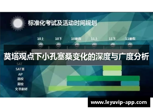 莫塔观点下小孔塞桑变化的深度与广度分析