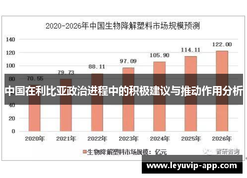 中国在利比亚政治进程中的积极建议与推动作用分析