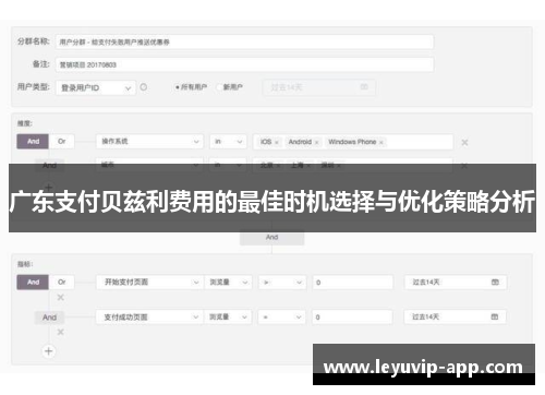 广东支付贝兹利费用的最佳时机选择与优化策略分析