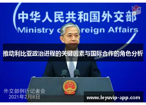 推动利比亚政治进程的关键因素与国际合作的角色分析