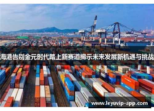 海港告别金元时代踏上新赛道揭示未来发展新机遇与挑战