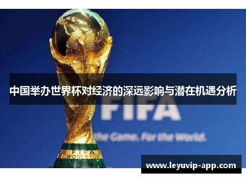 中国举办世界杯对经济的深远影响与潜在机遇分析