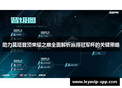 助力莫塔登顶荣耀之巅全面解析赢得冠军杯的关键策略